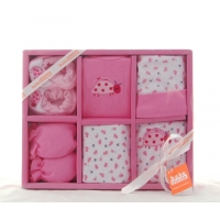 Baby 6 Pcs Clothing Set Pink